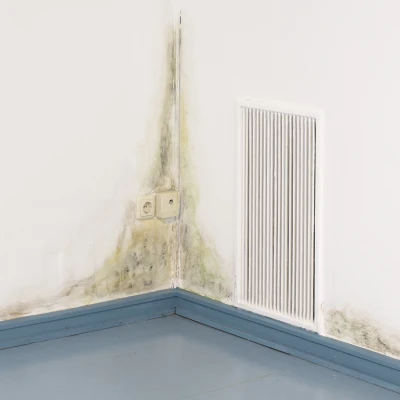 Bradley 
Davies - Signal-
störung (Ausstellung)