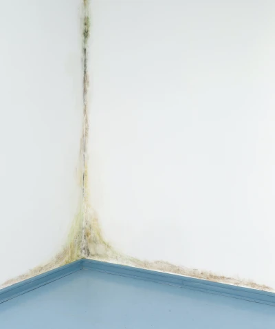 Bradley 
Davies - Signal-
störung (Ausstellung)