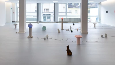 Simon Mielke
Phung-Tien Phan 
Franca Scholz
Lukas Thaler - Daily
Business (Ausstellung)