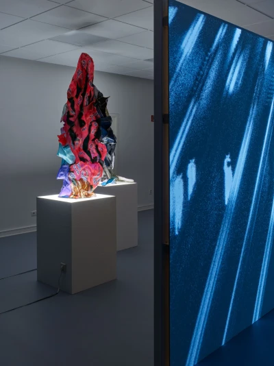 Pablo Schlumberger 
Fynn Ribbeck - Ex 
Nihilo (Ausstellung)