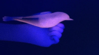 Fynn Ribbeck, 
Videostill: Solid State Dream
2022, 18 Min.
2-Kanal Videoinstallation, 16:9, HD