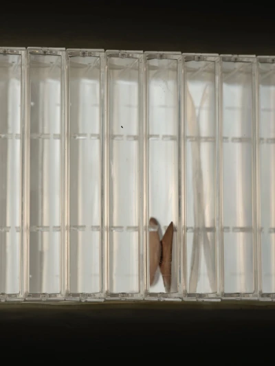 Keta 
Gavasheli 
& Andria 
Dolidze - Familiar Synchronicity (Ausstellung)