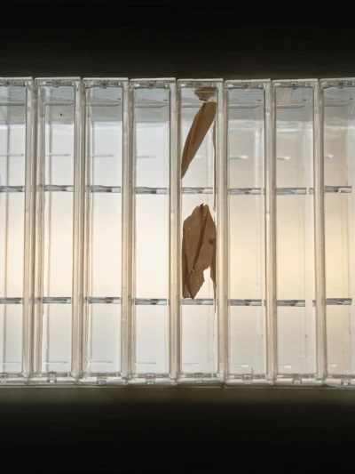 Keta 
Gavasheli 
& Andria 
Dolidze - Familiar Synchronicity (Ausstellung)