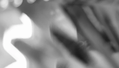 Keta 
Gavasheli 
& Andria 
Dolidze - Familiar Synchronicity (Ausstellung)