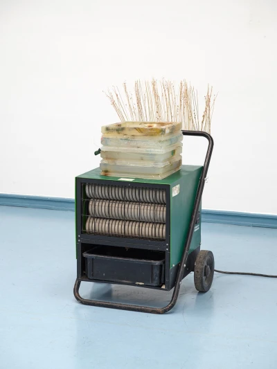 Fion 
Pellacini - Sonho 
Molhado (Ausstellung)