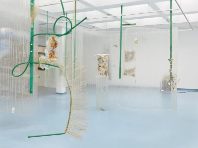 Fion 
Pellacini - Sonho 
Molhado (Ausstellung)