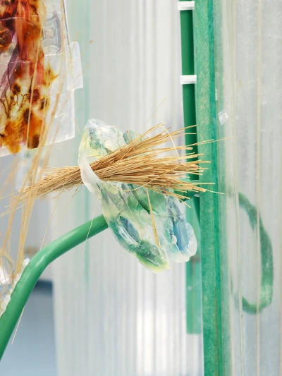 Fion 
Pellacini - Sonho 
Molhado (Ausstellung)