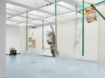 Fion 
Pellacini - Sonho 
Molhado (Ausstellung)