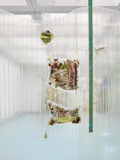 Fion 
Pellacini - Sonho 
Molhado (Ausstellung)