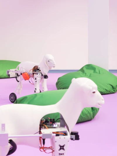 Thomas Geiger 
Tintin Patrone
Raul Walch - Happiest 
Places (Ausstellung & Projekt im öffentlichen Raum)