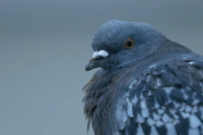 Jonas Brinker 
in Kollaboration 
mit Cas Hieltjes - Black Box (Siegener Audiowalks)