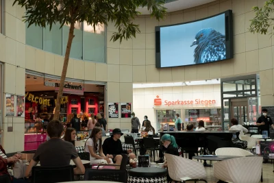 Jonas Brinker 
in Kollaboration 
mit Cas Hieltjes - Black Box (Siegener Audiowalks)