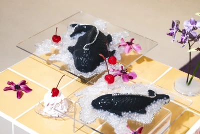 Lila 
Steinkampf -  (Veranstaltung)