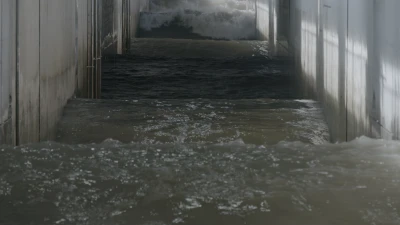 Lucy 
Beech - Viscosities (Screening)