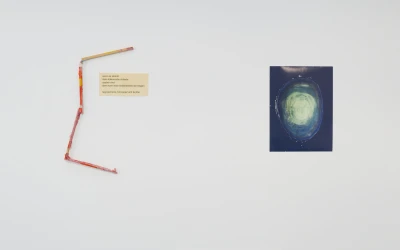 Mitglieder
Ausstellung - Utopie 
und 
Dystopie (Ausstellung)