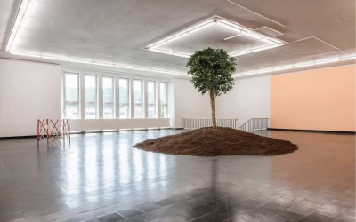 Nico 
Anklam -  (Salon)