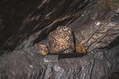 Phillip Zach - Double 
Mouthed (Screening)