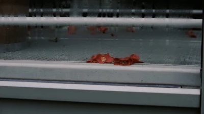 Rob 
Crosse - Wood for the Trees,
Old Growth,
Clear as a Bell (Screening)