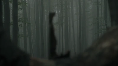 Rob 
Crosse - Wood for the Trees,
Old Growth,
Clear as a Bell (Screening)