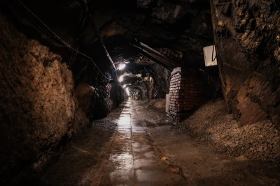 Rob 
Crosse - Wood for the Trees,
Old Growth,
Clear as a Bell (Screening)