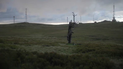 Rob 
Crosse - Wood for the Trees,
Old Growth,
Clear as a Bell (Screening)
