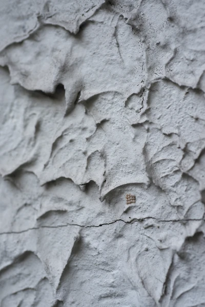 Maruša Sagadin 
Bianca Pedrina - Schiefe 
Schiefer (Ausstellung)