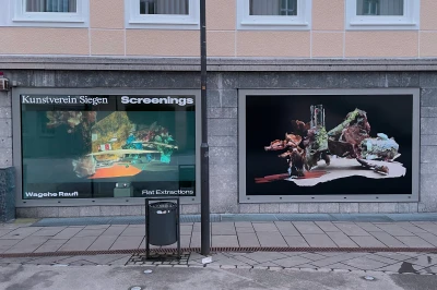 Wagehe Raufi - Flat Extractions (Screenings)