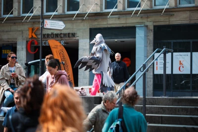 Thomas 
Geiger - Taube (Performance)