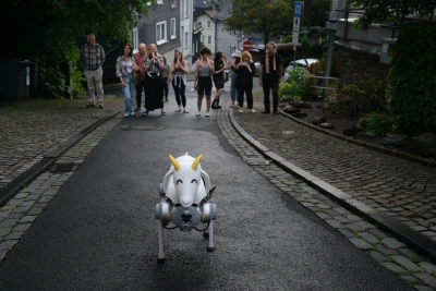 Tintin 
Patrone - Ziegen-
wanderung (Performance)